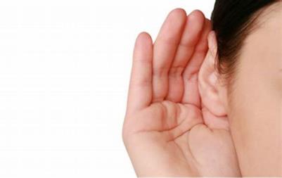除了耳熟能详的六大品牌 你还了解哪些进口助听器品牌？