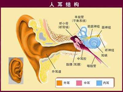 传导性耳朵聋是什么意思?怎么引起的？ (图2)