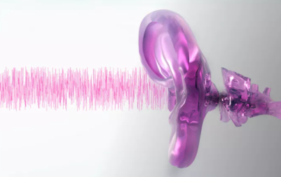 听小骨在听力中扮演什么角色？