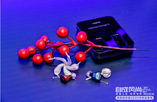 西嘉魔法师X助听器（一款深耳道式机器）