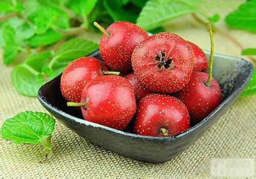 常吃活血化瘀的食物