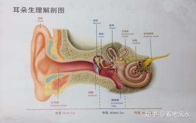 助听器一般价格是多少？该如何选择选择助听器？