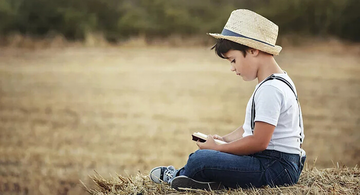 DREAM™ 梦想星系列