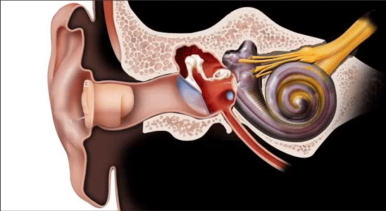 气导助听器原理模拟