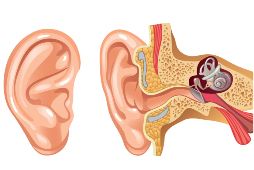 慢性中耳炎或中耳炎的人
